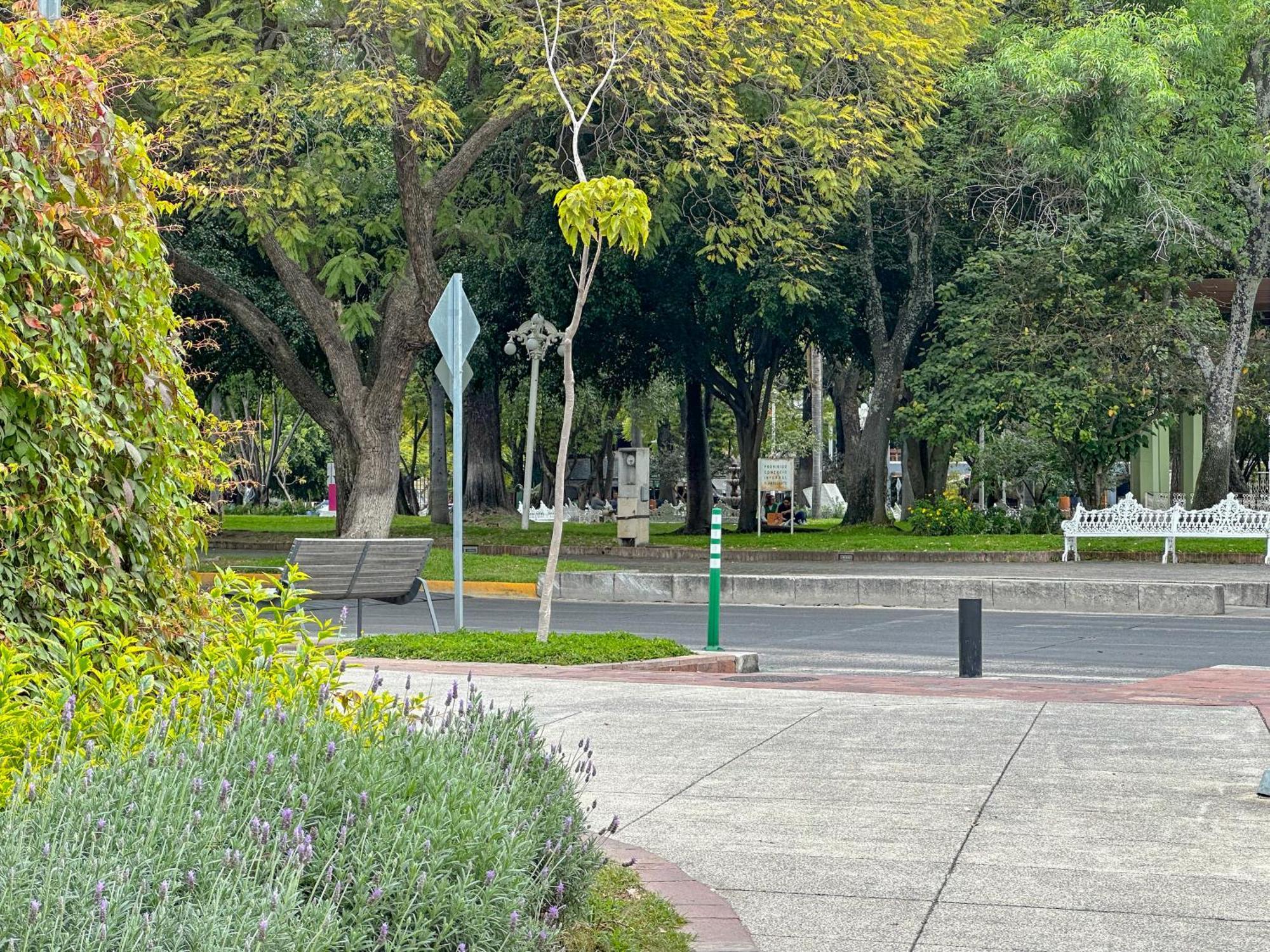 Sencillo Y Acogedor Estudio En Chapalita 02 Guadalajara Eksteriør bilde