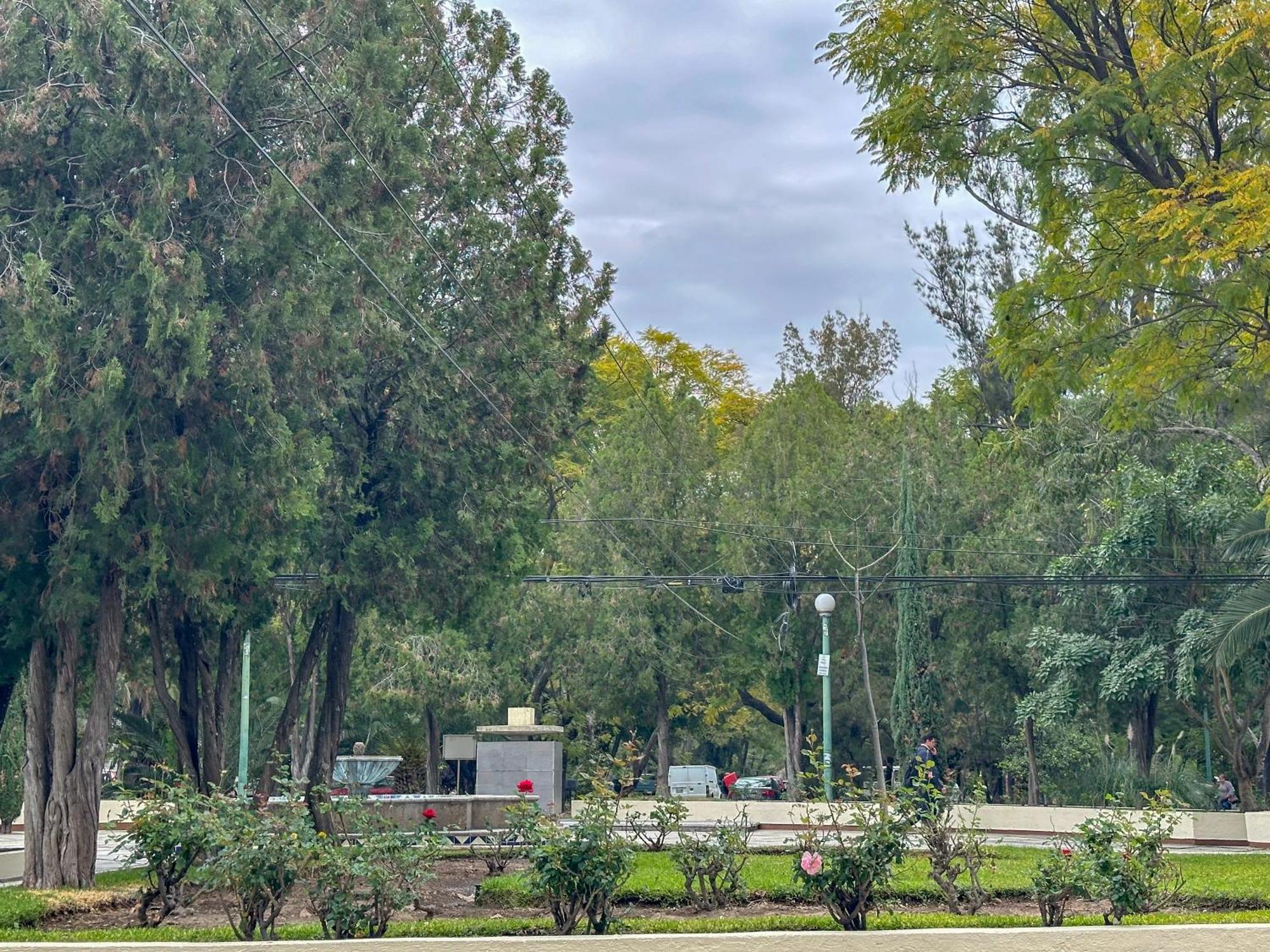 Sencillo Y Acogedor Estudio En Chapalita 02 Guadalajara Eksteriør bilde