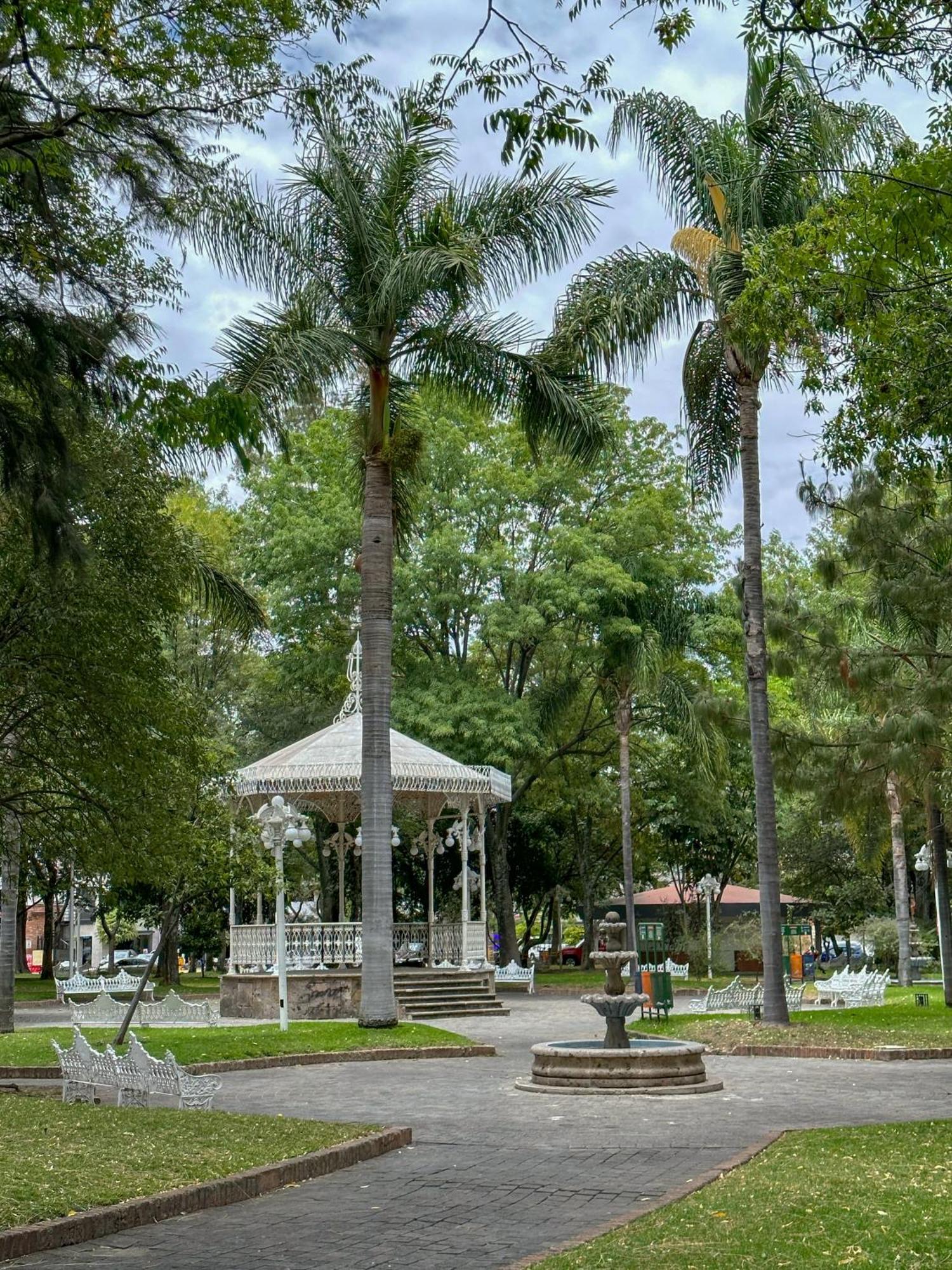 Sencillo Y Acogedor Estudio En Chapalita 02 Guadalajara Eksteriør bilde